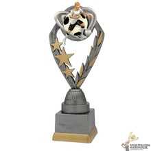 Voetbal sportprijs - PFS.005