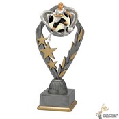 Voetbal sportprijs