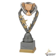 Sport sportprijs - PFS.021