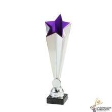 Economy award met een Blauwe accent kleur - X772