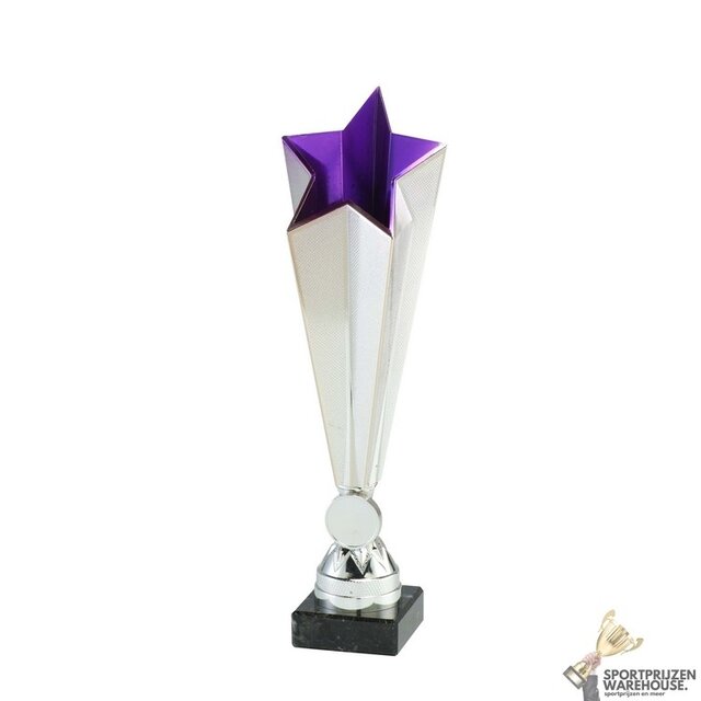 Economy award met een Blauwe accent kleur Economy award met een Blauwe accent kleur