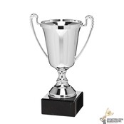 Leuke trofee met een Zilveren kleur Leuke trofee met een Zilveren kleur