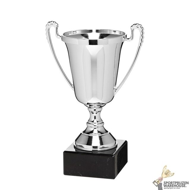 Leuke trofee met een Zilveren kleur Leuke trofee met een Zilveren kleur