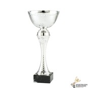 Economy sportprijs met een Zilveren kleur Economy sportprijs met een Zilveren kleur