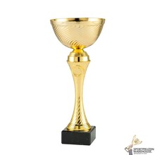 Leuke sportprijs met een Gouden kleur - ET.450