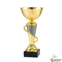 Leuke sportprijs met een Zilveren kleur - ET.447