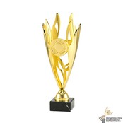 Leuke sportprijs in goud, zilver of brons