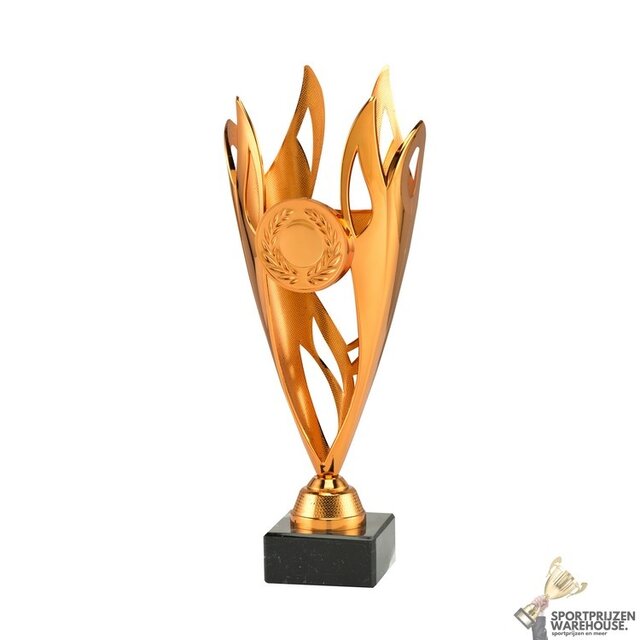 Leuke sportprijs in goud, zilver of brons