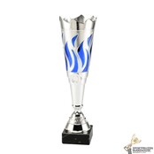 Sportprijs met een Blauwe kleur
