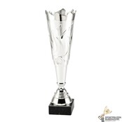 Sportprijs met een Zilveren kleur