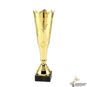 Sportprijs met een Gouden kleur