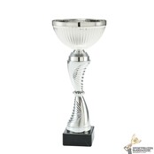 Leuke trofee in diverse maten