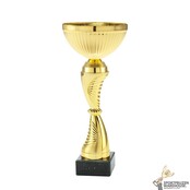 Leuke trofee in diverse maten Leuke trofee in diverse maten