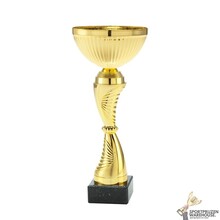 Leuke trofee in diverse maten - ET.419