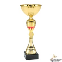 Stoere award met een Rode accent kleur - ET.392