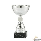Mooie trofee met gratis gravering Mooie trofee met gratis gravering