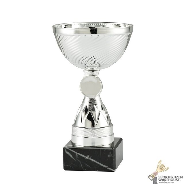 Mooie trofee met gratis gravering Mooie trofee met gratis gravering
