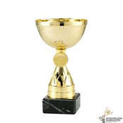 Mooie trofee met gratis gravering