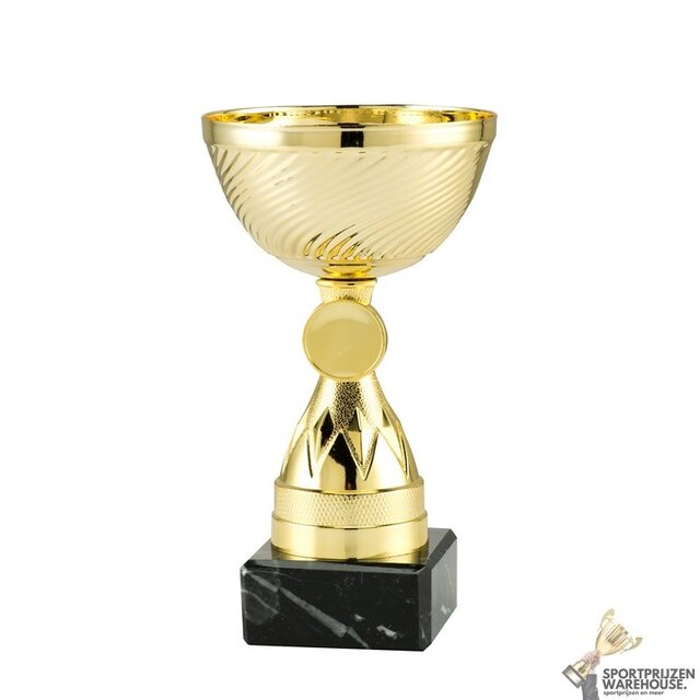 Mooie trofee met gratis gravering