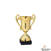 Gouden kampioenen trofee