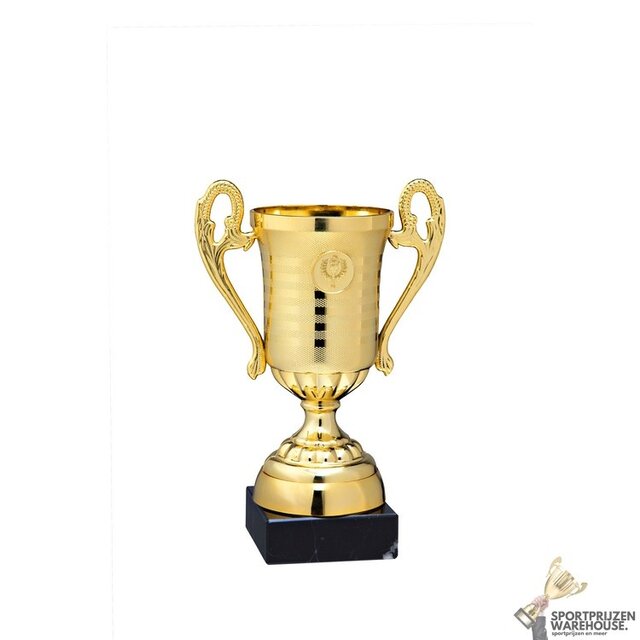 Gouden kampioenen trofee