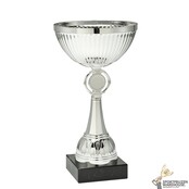 Leuke zilveren award in 10 hoogtes