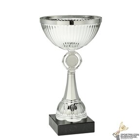 Leuke zilveren award in 10 hoogtes - ET.351
