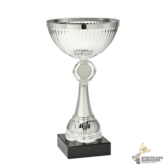 Leuke zilveren award in 10 hoogtes