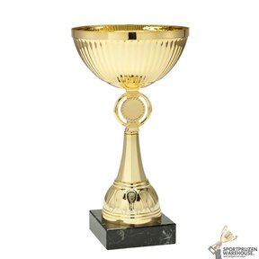 Leuke gouden award in 10 hoogtes - ET.350