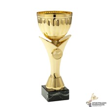 Leuke gouden prijs in 10 hoogtes - ET.349