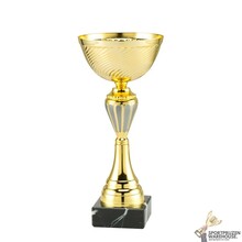 Leuke gouden sportprijs met een zilveren kleur in 12 hoogtes - ET.280