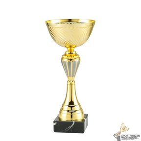 Leuke gouden sportprijs met een zilveren kleur in 12 hoogtes - ET.280