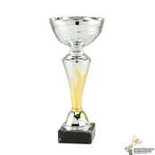 Leuke zilveren sportprijs met een gouden accent - ET.206B.03.E Leuke zilveren sportprijs met een gouden accent - ET.206B.03.E