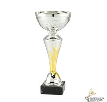 Leuke zilveren sportprijs met een gouden accent - ET.206B.03.E
