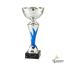 Leuke zilveren sportprijs met blauwe accenten - ET.180B.04.E