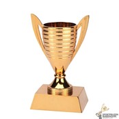 Super Budget Trophy