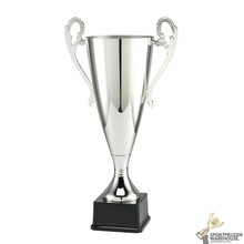 Grote zilveren award voor kampioenen - LT.084
