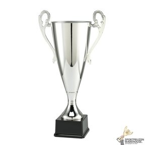 Grote zilveren award voor kampioenen - LT.084