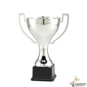 Grote zilveren award voor kampioenen Grote zilveren award voor kampioenen