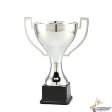 Grote zilveren award voor kampioenen - LT.085