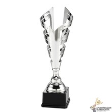 Mooie zilveren award inclusief gravering - LT.077