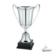 Giant wisselbokaal in het goud of zilver Giant wisselbokaal in het goud of zilver