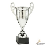 Mooie zilveren trofee n diverse hoogtes