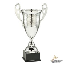 Mooie zilveren trofee n diverse hoogtes - LT.053