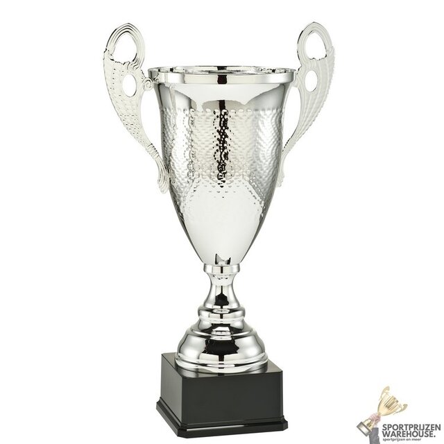 Mooie zilveren trofee n diverse hoogtes