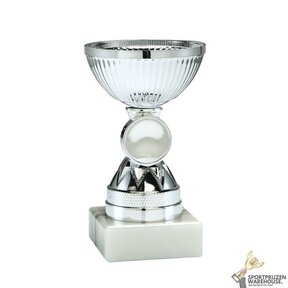 Unieke Trofee - SET.323