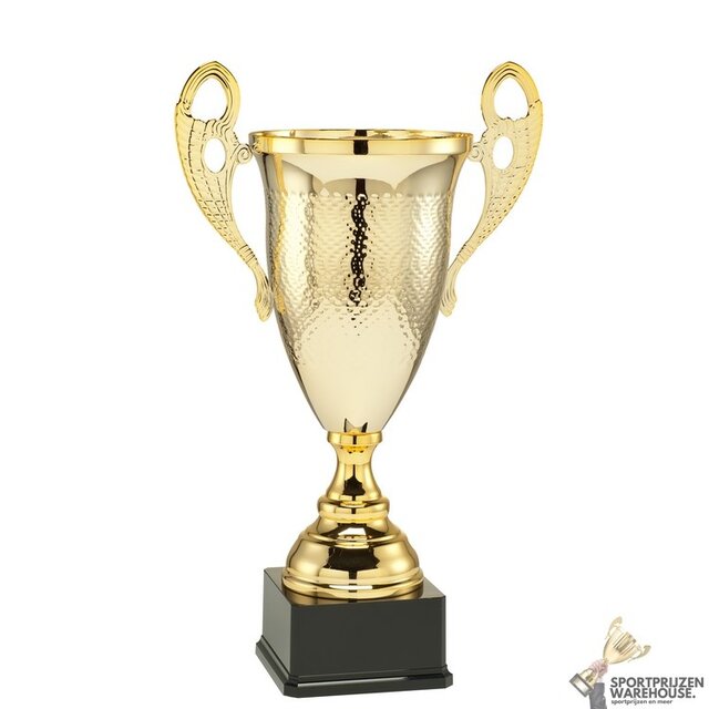 Gouden award met gratis gravering