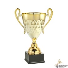 Gouden trofee in 6 hoogtes - LT.039