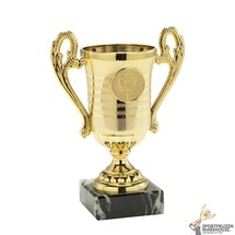 Voordelige award  - SET.306