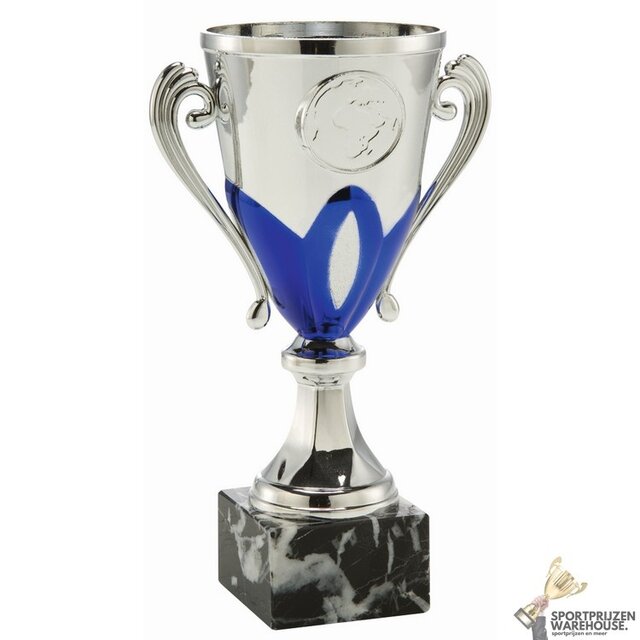 Voordelige award met een Blauwe accent kleur